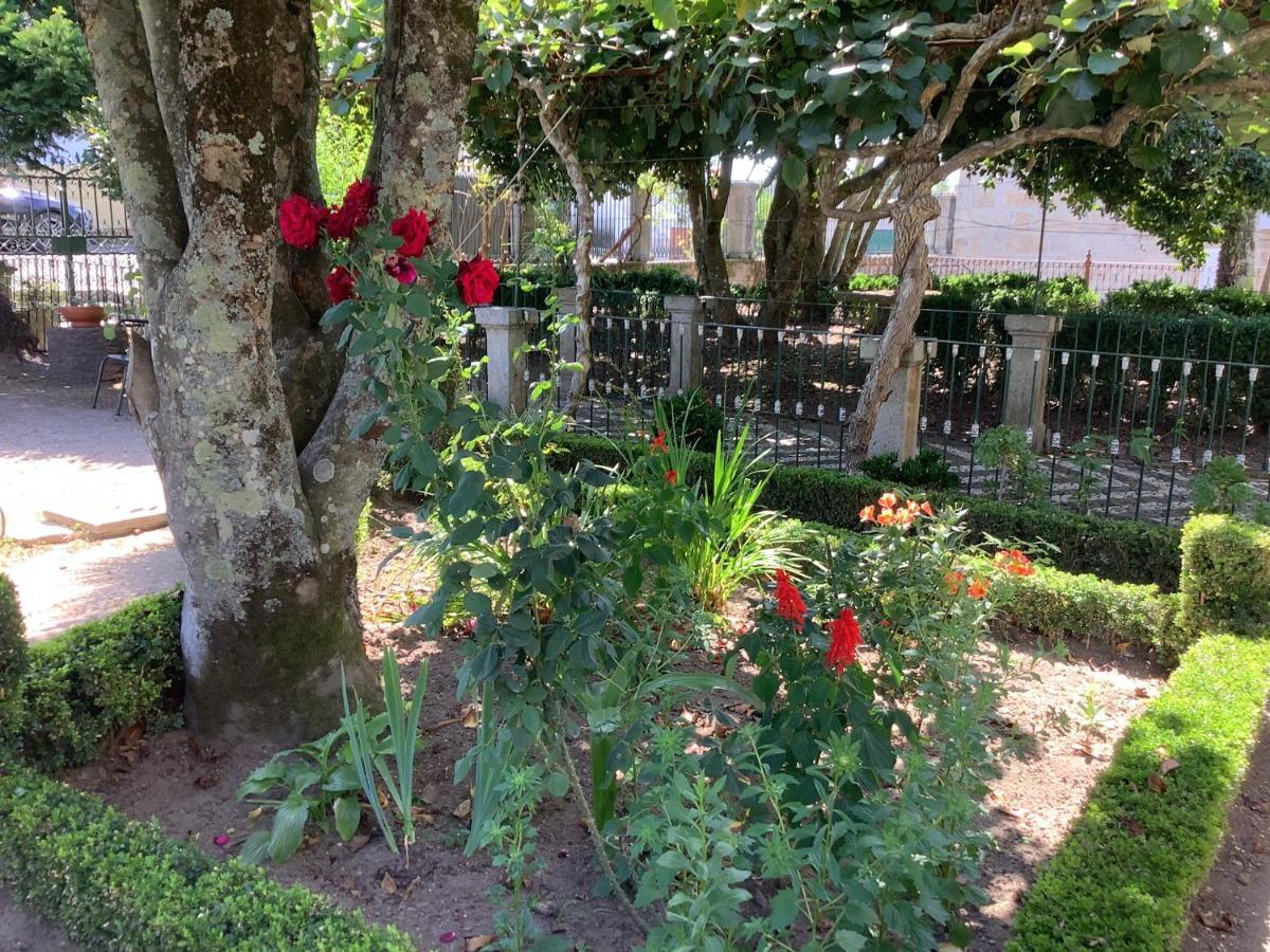 Casa Camelias *