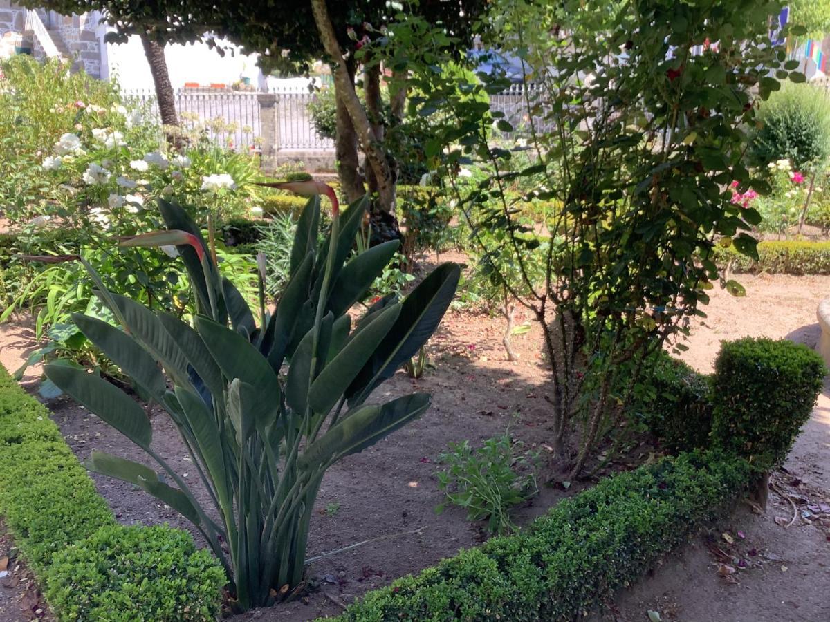 Casa Camelias Holiday home *