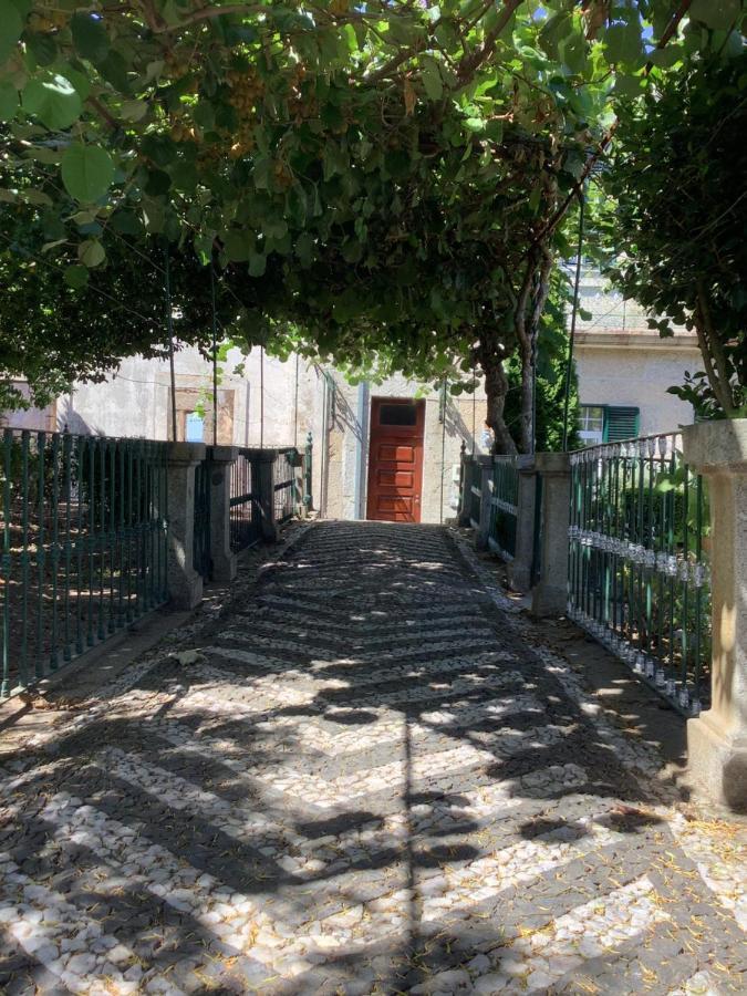 Casa Camelias Gouveia (Guarda)