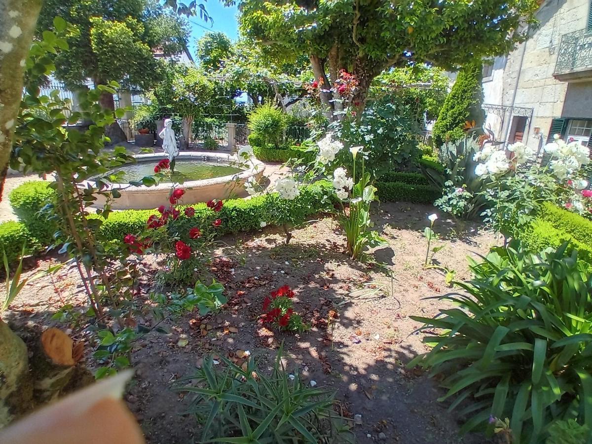 Casa Camelias