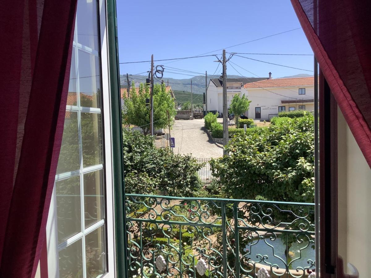 Casa Camelias